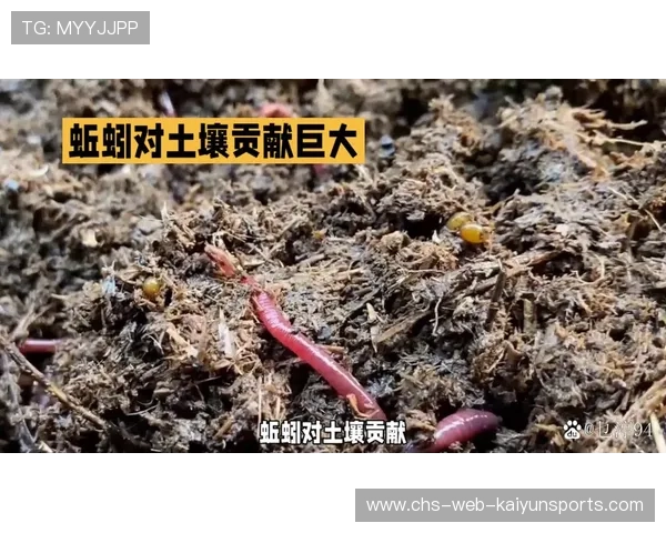 足球场土壤中的蚯蚓数量影响松软度，蚯蚓 踢足球